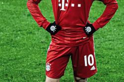 开云体育官方网站-拜仁逆转法国，萨内惊艳四座的简单介绍