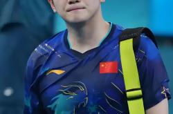 开云体育直播-波兰队翻盘奥地利队，樊振东刷新纪录