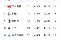 开云体育中国-包含勒沃库森遭遇不幸失利，积分榜退后的词条