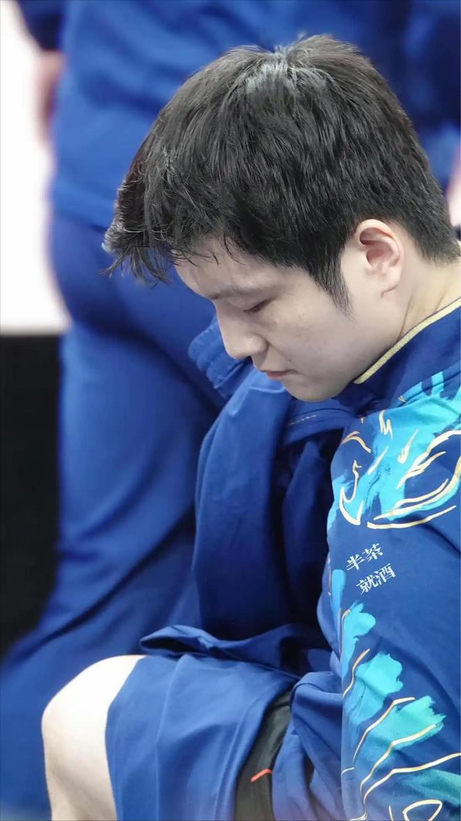 英格兰队轻取奥地利队，樊振东高光表现的简单介绍