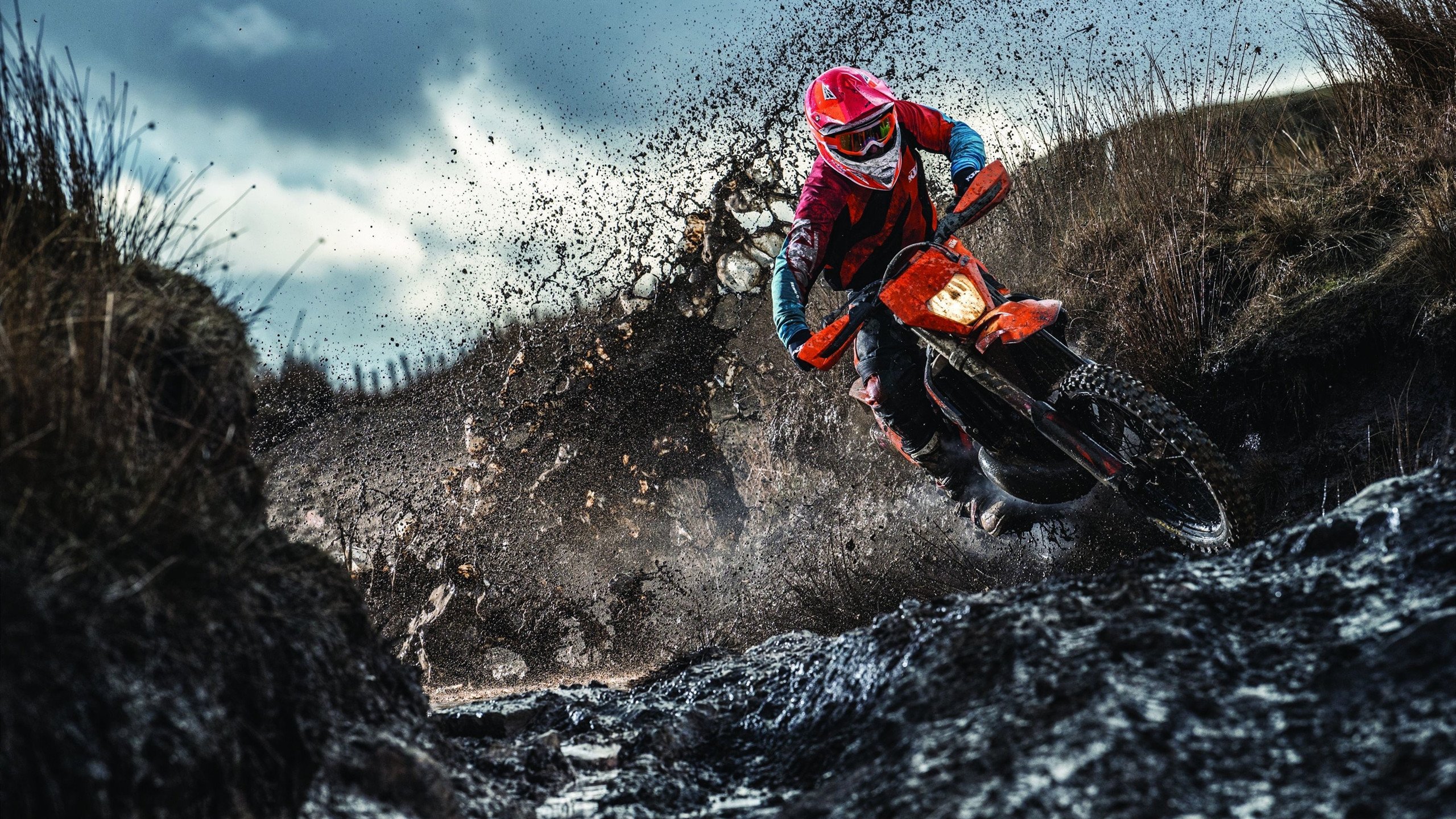 年度焦点之战,澳大利亚战术革命如何击溃荷兰足球哲学